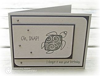 2012 Turtle C.jpg