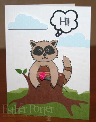Esther P.
Hi Raccoon
