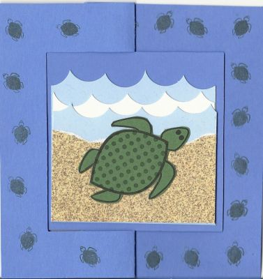 turtle
flip-it contest
Keywords: turtle