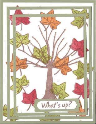 What's Up?
Keywords: What's Up?