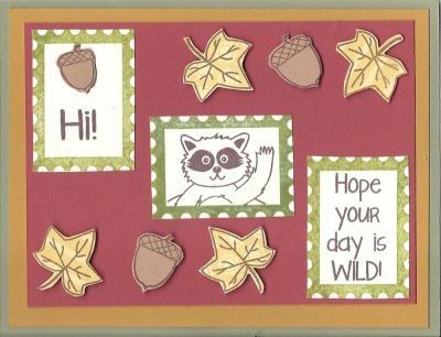 Hope your day is wild
Keywords: HI!