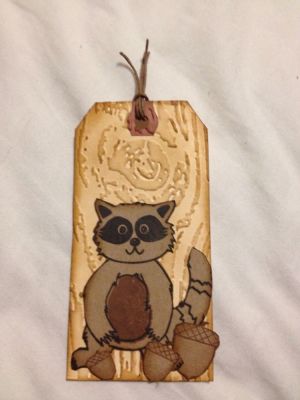 Raccoon tag 
