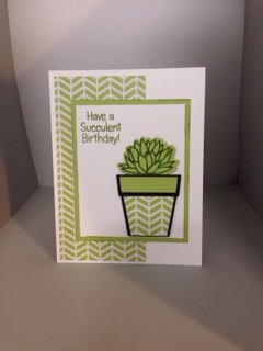 Birthday 
Made with succulent2stamp set. Stamps of life ink and pattern paper
