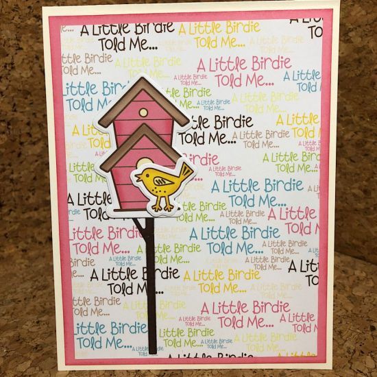 A Little Birdie....
