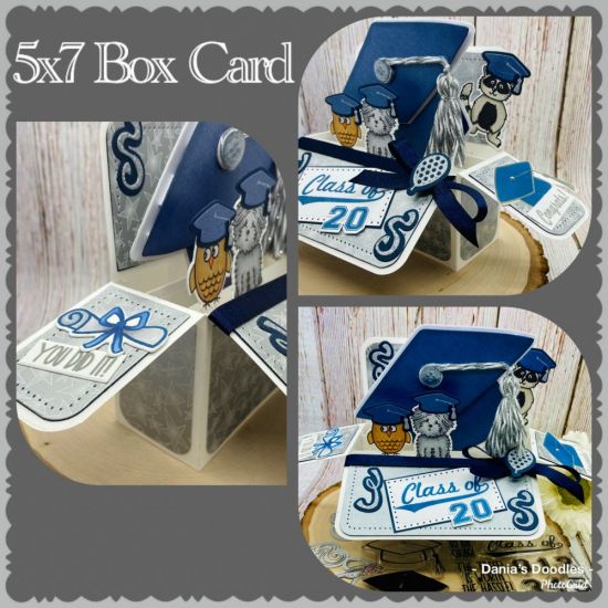 Happy Graduation
Keywords: GraduationcapFoldit Hats4critters graduation2celebrate 5x7Rectangleboxcards