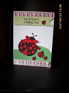 ladybug_001.JPG