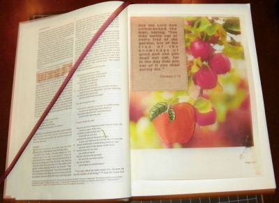 Genesis 2:16
Bible journal page.
