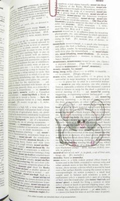 Mouse
Dictionary Journaling
