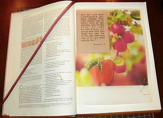 100_0846.jpg