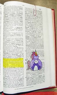100_0954.jpg