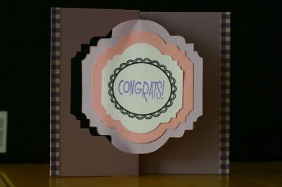Congrats!
The New Majestic Flip It & some of the newer die/stamps. All inks are from Stephanie Barnard too!
