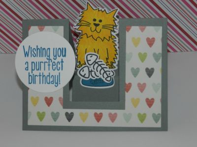 Purrfect Birthday

