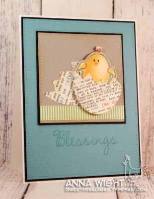 Spring Chick
