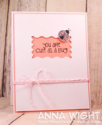 Cute as a Bug!
I used one of the frame dies from the Words and Tags Sixxiz set to create the window on the card front. The sentiment is stamped on a colored cardstock layer beneath the die cut layer. I used a marker to make pink tracks from the wandering bug. *grin*
