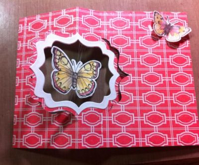 floating butterfly inside
