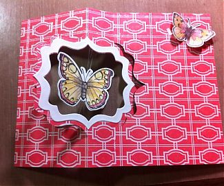 floating butterfly2.jpg