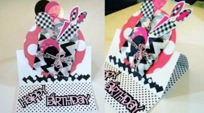 candles4birthday
Hi friends, I've used my standup xl circle die and my august card kit papers to create this card. I also used my candle4birthday stamps and dies, and the happy birthday die ..
