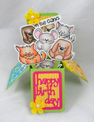 Box of Pudgies
Keywords: exclusive box card die set mini pudgies BoxCardDies