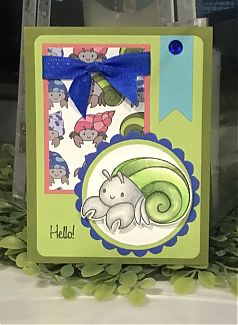 IMG_1718.jpeg