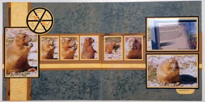 Prairie Dogs
Scrapbook page using the spinner2stamp for my journaling info. I typed facts about prairie dogs on the computer and cut them with the die. Fun project. Thanks for looking.
