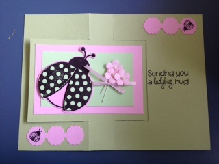 Lady Bug for Mother's Day
