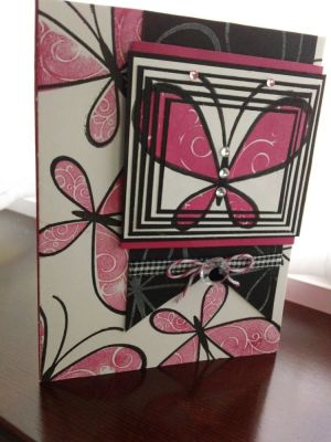 Five Layered Butterfly!

