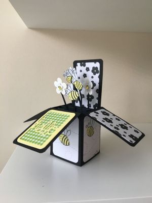Another view of Box Card
