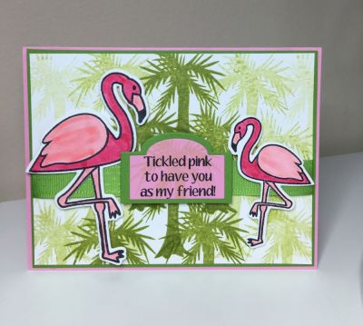 Flamingos

