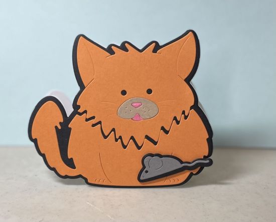 Cat Fold It
Keywords: Cat, fold it