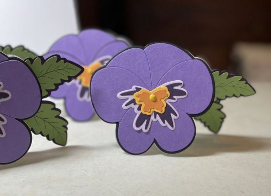 Pansy Fild It
Keywords: Pansy, fold it