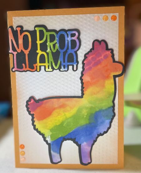 No Problem Llama
Keywords: Llama