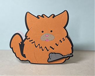 IMG_1353.jpeg