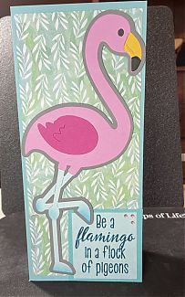 IMG_1955.jpeg