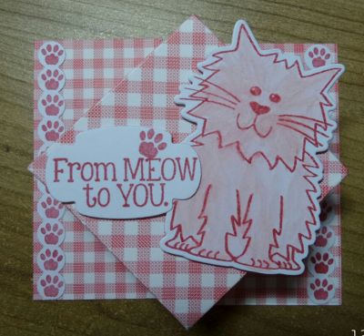 From MEOW to YOU!
Card created from club and die set from The stamps of life call cat2stamp. Also used sizzix word and tags dies and word labels dies .And for stamping Stephanie Barnard Color Box raspberry ink pad
