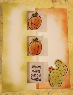 BLOOM WHERE YOU ARE PLATED
