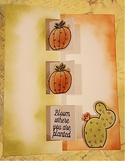 20170111_225514_28129.jpg