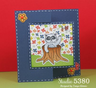 *Hi
Keywords: raccoon2love