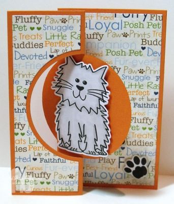 *Purrfect Birthday
