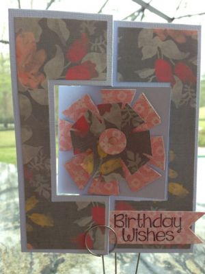Birthday Daisy
