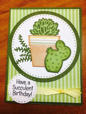 Succulent birthday 
Believe and forever pattern paper 
Dotted circles
