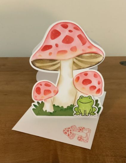 Mushrooms with little frog
