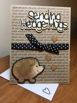 Hedgehog hugs
Hedgehog2stamp and dies
Rectangle stitched die
Sweetheart pattern paper
Ribbon and cork hearts from card kits
