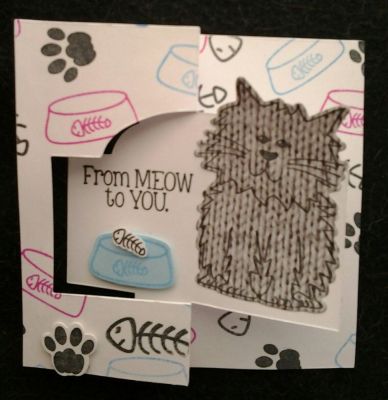 Cat Birthday Card
