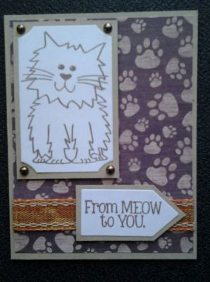 cat card
