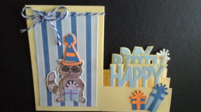 Raccoon step up birthday
