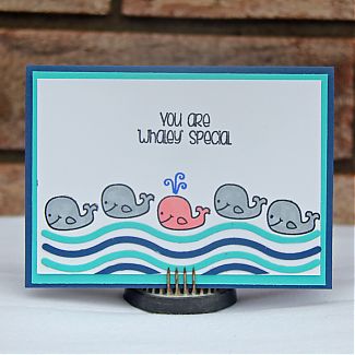 Jodi-Whale1.jpg