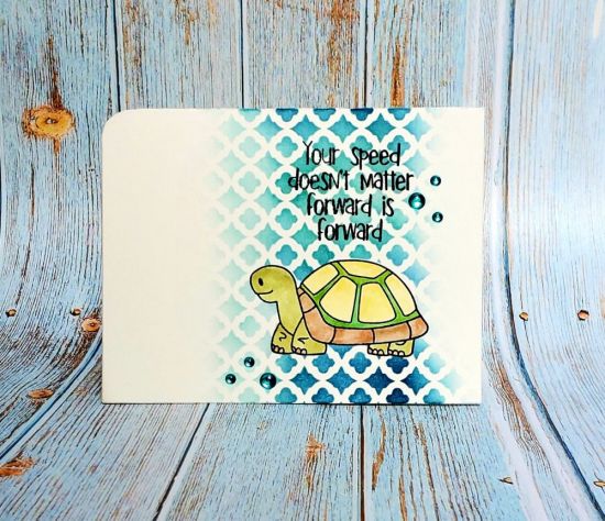 Tortie
