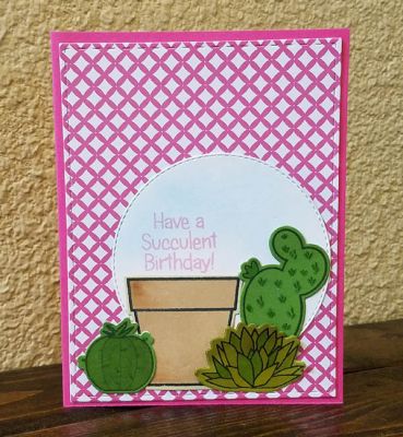 *birthday
succulents2stamp +dies. stitched rectangle. stitched circle. papers TSOL

