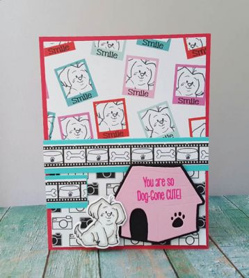 *you are
sizzix doggone cute stamps and dies. tsol papers
