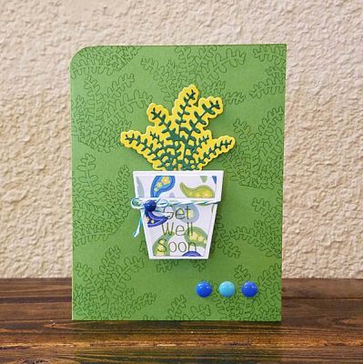 *get well soon
succelents2stamp + dies. Papers, inks, embellishments:TSOL
